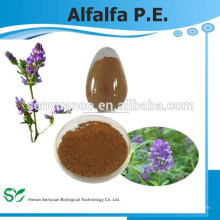 Alfalfa Extrakt / Alfalfa P.E. 5% 20% 50% / Kosmetischer Rohstoff